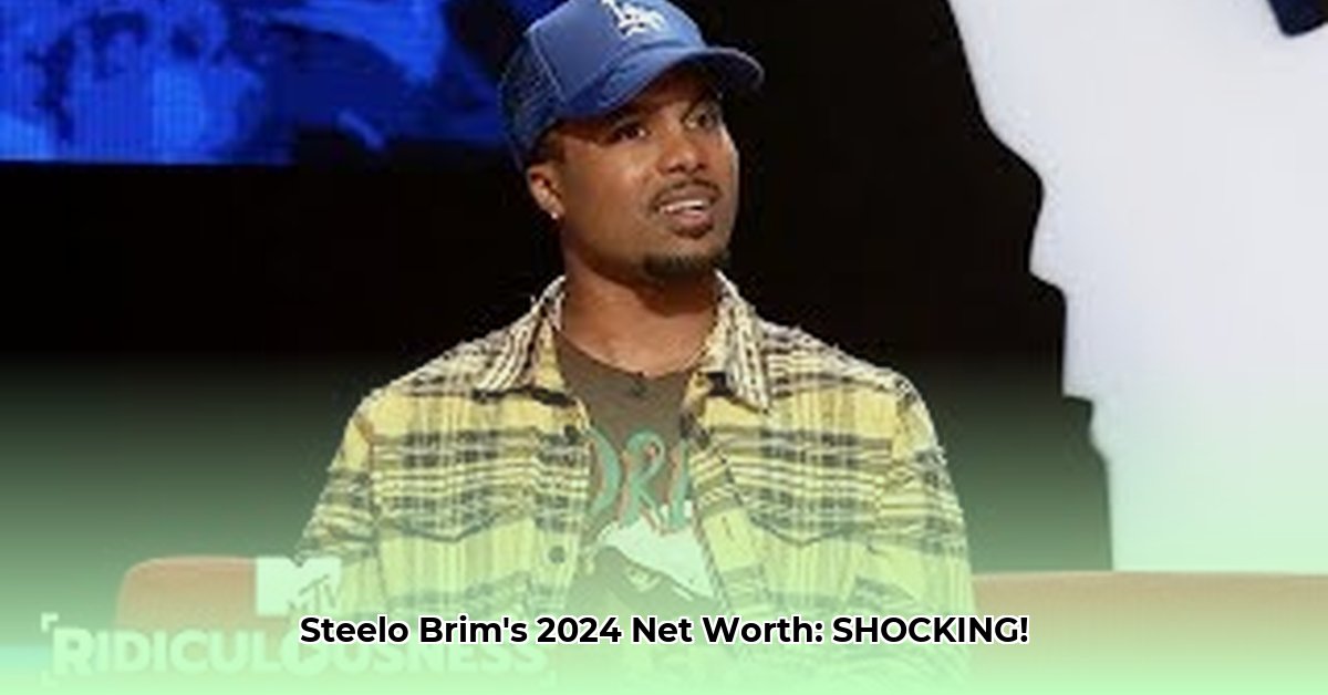 steelo-brim-net-worth